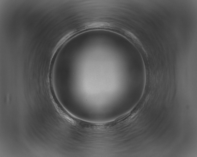 X0000054401330200508011312