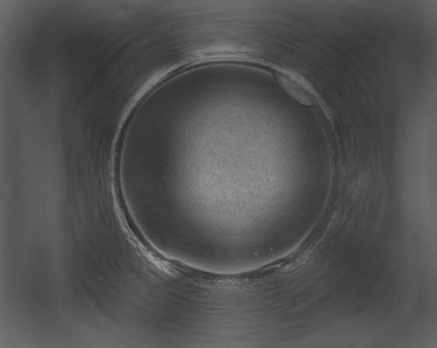 X0000054401333200508011312
