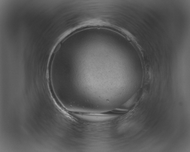 X0000054401335200508011312