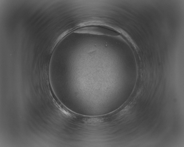 X0000054401337200508011312