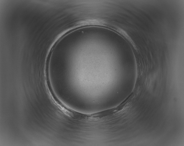 X0000054401339200508011312