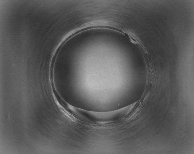 X0000054401342200508011312