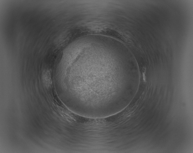 X0000054401347200508011312