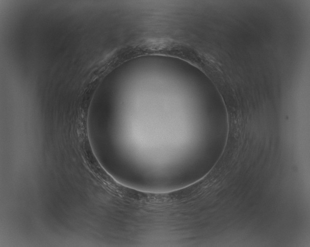 X0000054401349200508011312