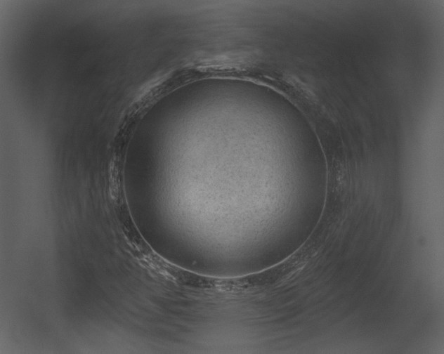 X0000054401350200508011311