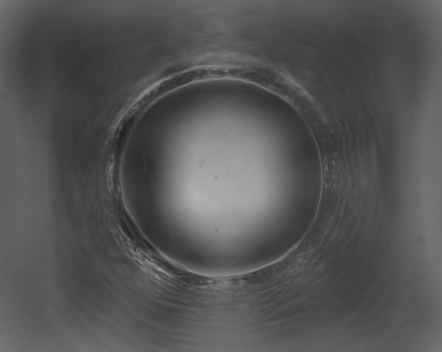 X0000054401352200508011311