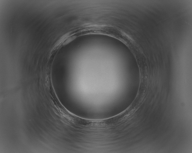 X0000054401354200508011311