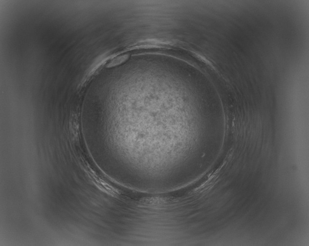 X0000054401355200508011311