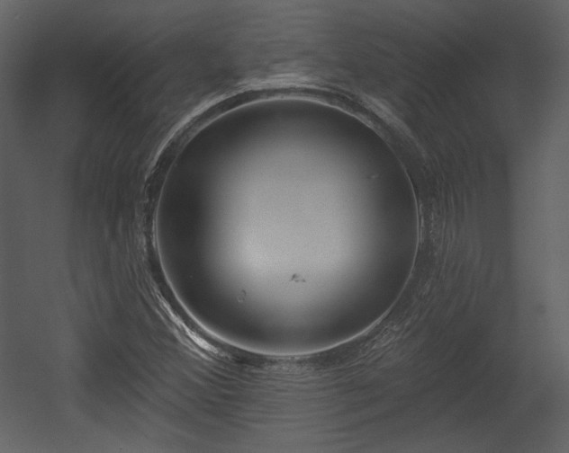 X0000054401356200508011311