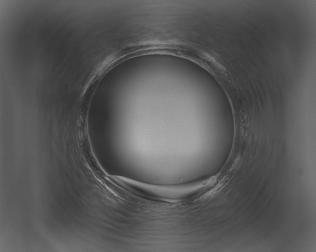 X0000054401357200508011311