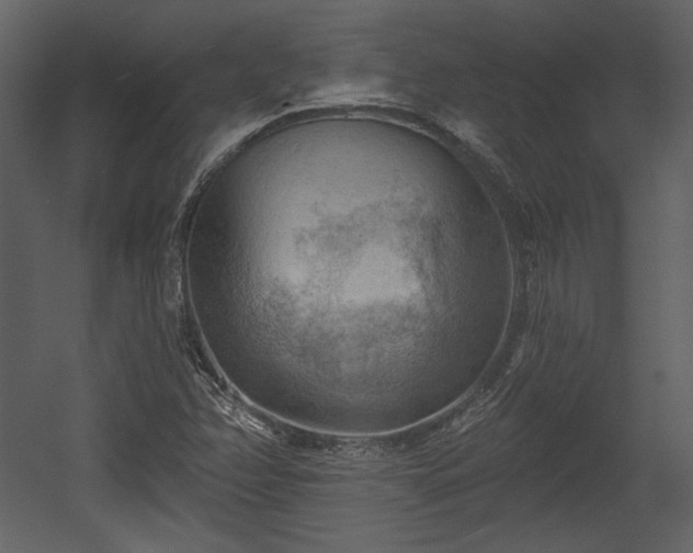 X0000054401358200508011311