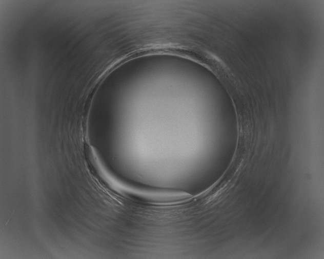 X0000054401361200508011311