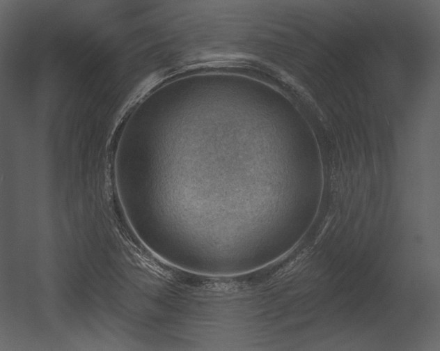 X0000054401362200508011311