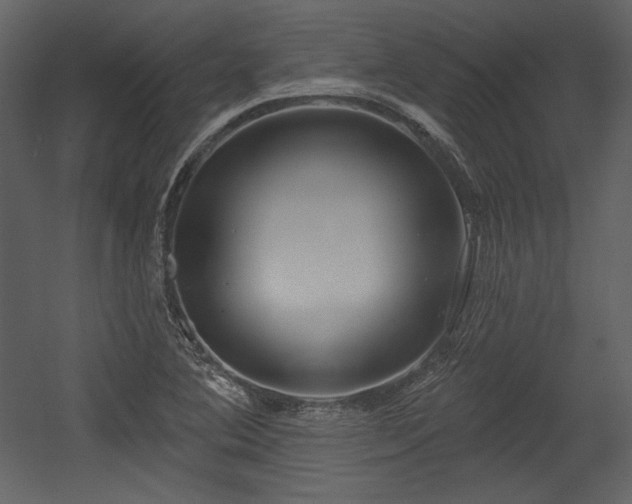 X0000054401364200508011311