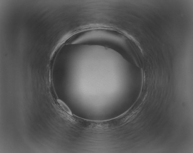 X0000054401365200508011311