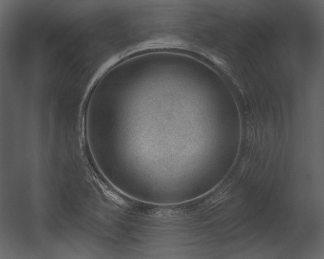 X0000054401366200508011311