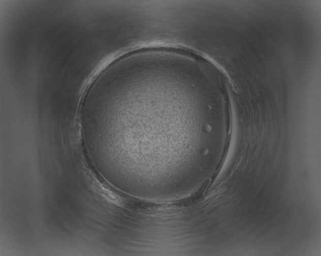 X0000054401367200508011311