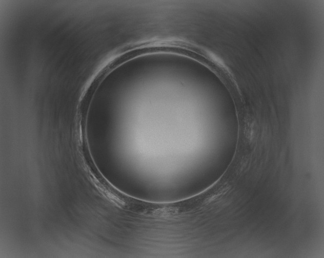 X0000054401368200508011311