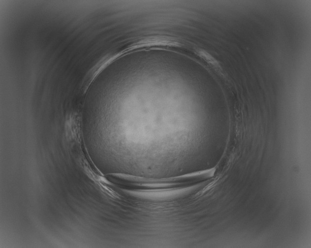 X0000054401369200508011311