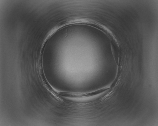 X0000054401373200508011311