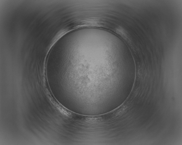 X0000054401378200508011311