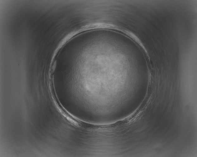 X0000054401381200508011311