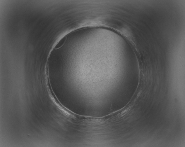 X0000054401382200508011311