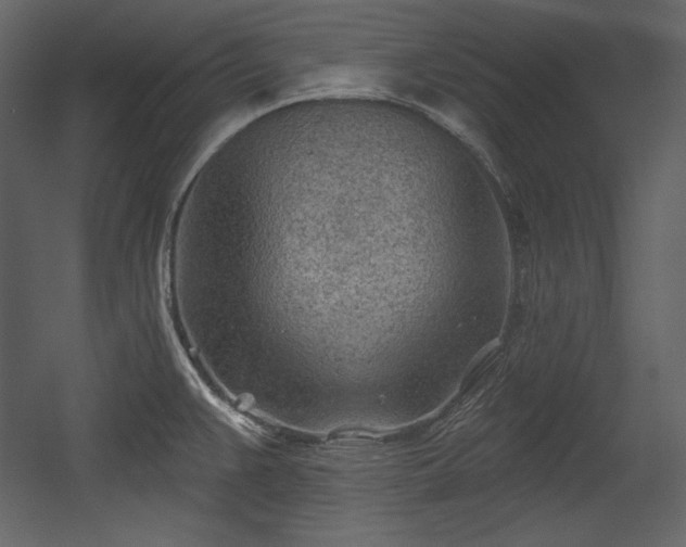 X0000054401383200508011311