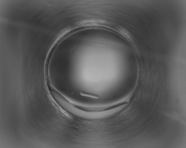 X0000054401384200508011311