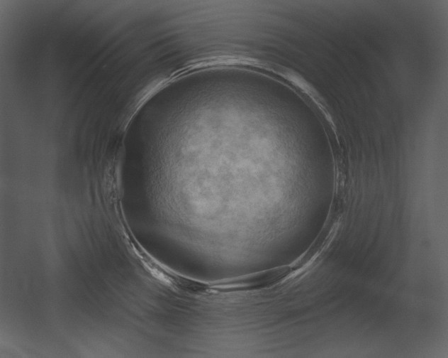 X0000054401385200508011311