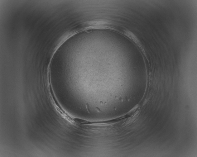 X0000054401386200508011311