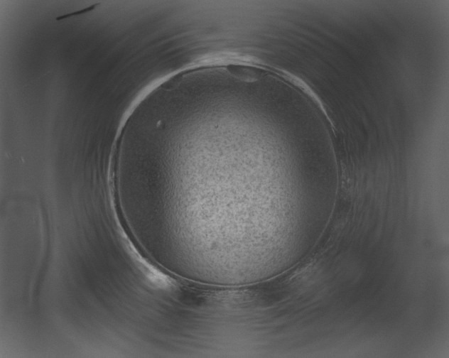 X0000054401387200508011311