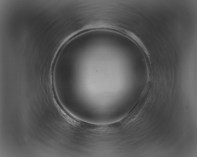 X0000054401388200508011311
