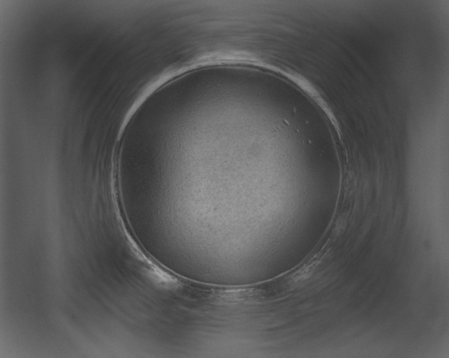 X0000054401390200508011311
