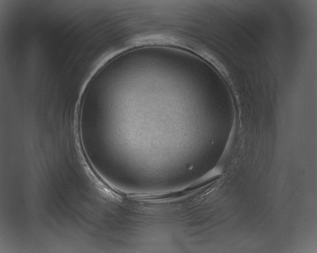 X0000054401392200508011311