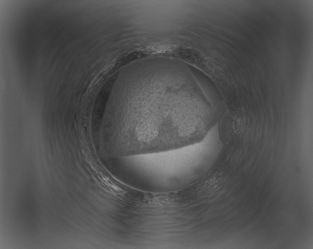 X0000054401393200508011310