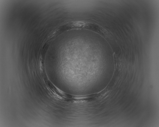 X0000054401394200508011310