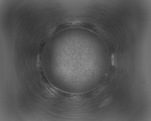 X0000054401395200508011310