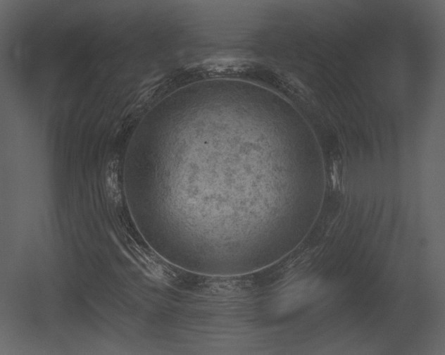 X0000054401396200508011310