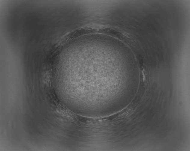 X0000054401397200508011310
