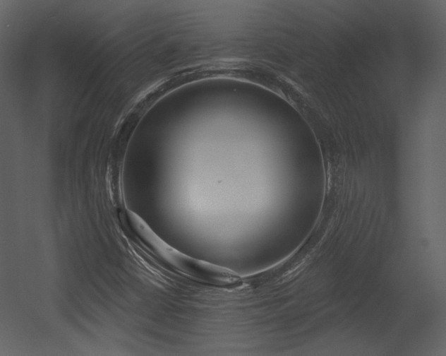 X0000054401402200508011310