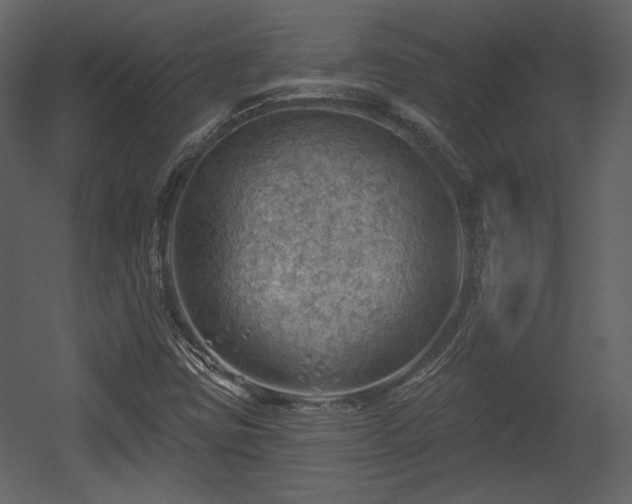 X0000054401403200508011310