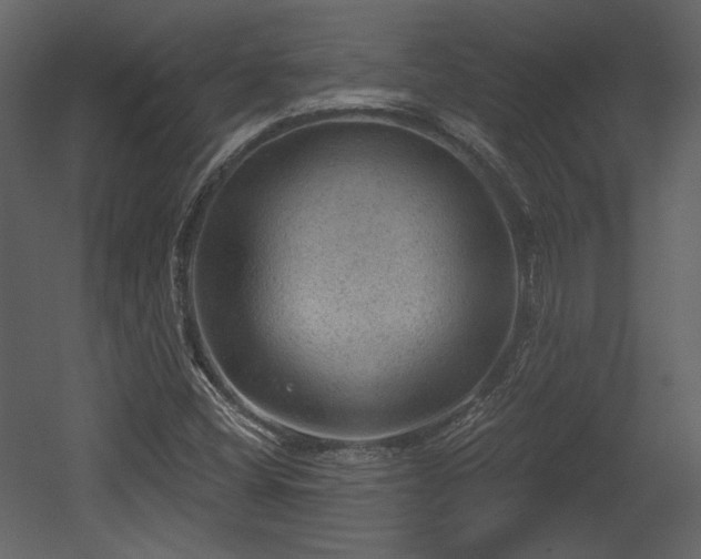 X0000054401404200508011310