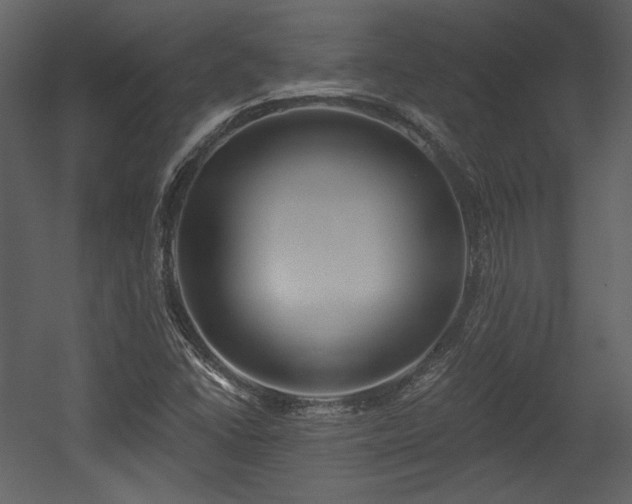 X0000054401406200508011310
