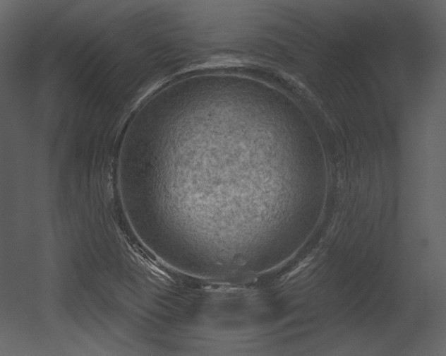 X0000054401409200508011310