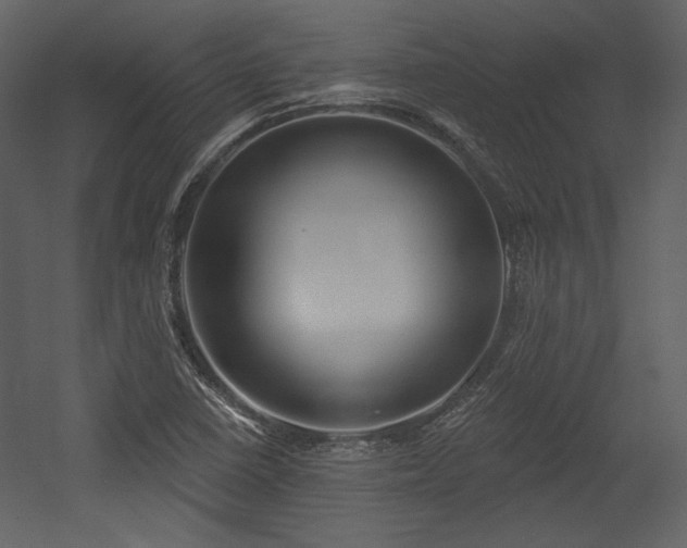 X0000054401410200508011310