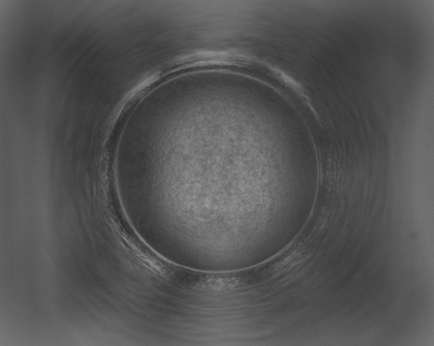 X0000054401411200508011310