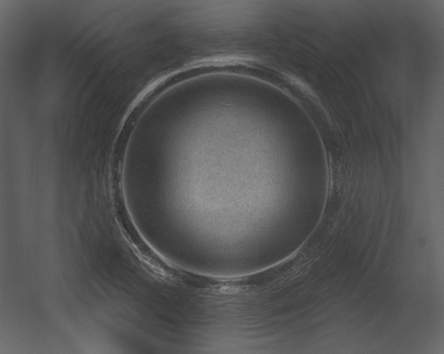 X0000054401412200508011310