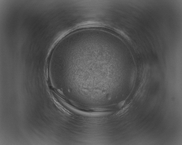 X0000054401413200508011310