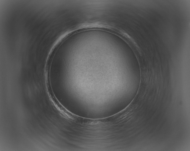 X0000054401416200508011310